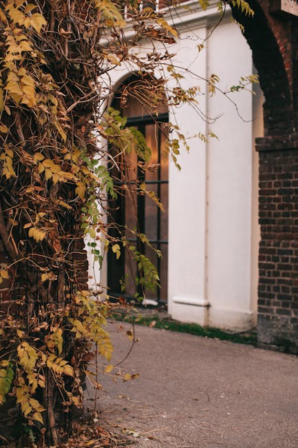Elegant architectural entry surrounded by ivy, showcasing classic design.